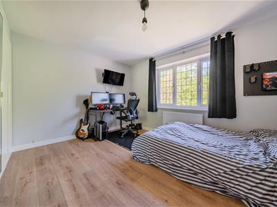 Picture 21